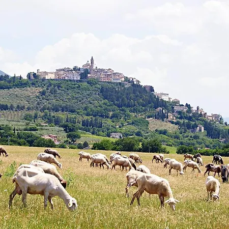 Agriturismo Residenza Paradiso